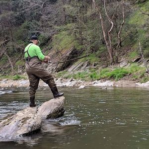 Meet your Posher, Brad